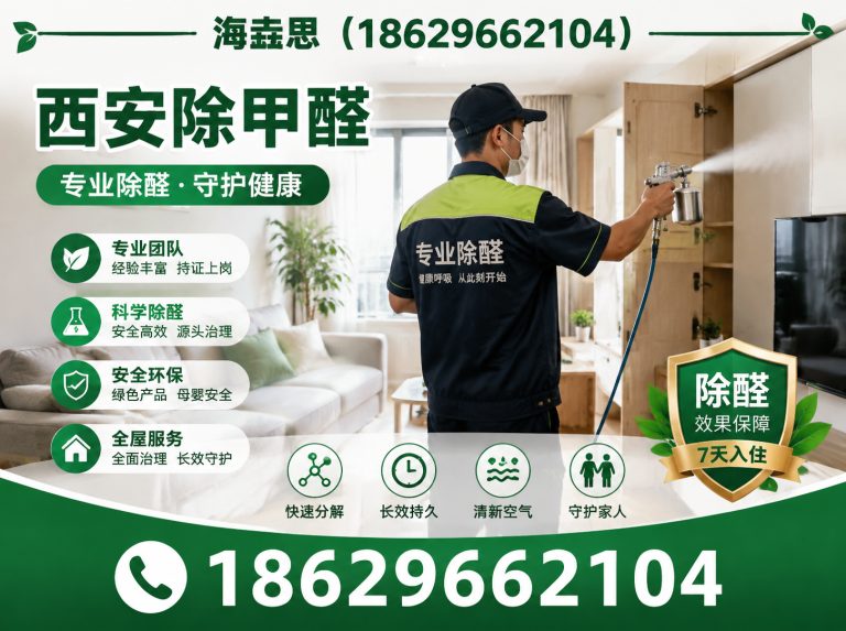 灞桥区西安新车甲醛去除展示图